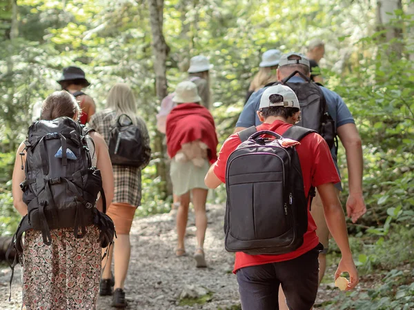 Un grupo de personas con mochilas se adentran en el matorral de un bosque caducifolio en un día soleado de verano. Senderismo en la reserva nacional. Vista trasera. Enfoque del suelo — Foto de Stock