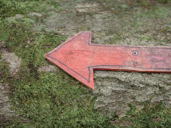 En röd träpil som pekar till vänster är bultad till en bred mossig trädstam. Helskärmsläge foto — Stockfoto