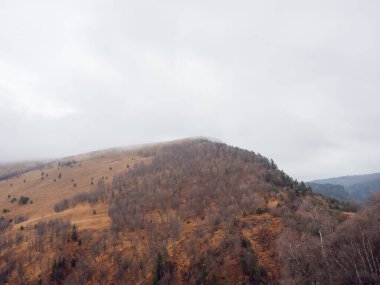 Çıplak huş ağaçlarıyla dağ zirveleri ve bulutlu bir gökyüzünün altındaki kozalaklı ormanlar ve zirvelere doğru inen sis. Kafkas dağlarında sonbahar