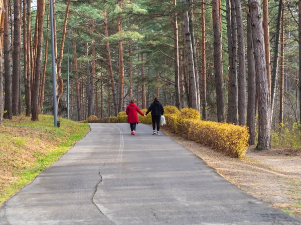 Duas mulheres turistas andam de mãos dadas ao longo de uma estrada de asfalto em um parque plantado com pinheiros altos e arbustos amarelos. — Fotografia de Stock