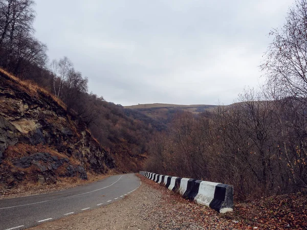 Strada stretta che passa negli altopiani del Caucaso con alberi spogli e fogliame secco. Paesaggio d'autunno — Foto Stock