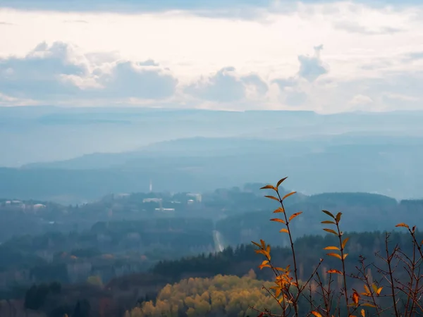 Brindilles au feuillage jaune sur fond de collines boisées d'automne dans une brume brumeuse et un ciel nuageux — Photo