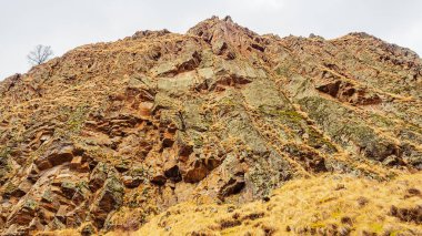 Bulutlu bir gökyüzüne karşı yosun ve kırmızı sonbahar otlarıyla kaplanmış dik bir kayalık. Alt görünüm