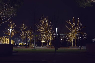 Yürüme yolları boyunca uzanan parlak ağaçlarla dolu bir Noel parkı. Kış manzarası dekorasyonu