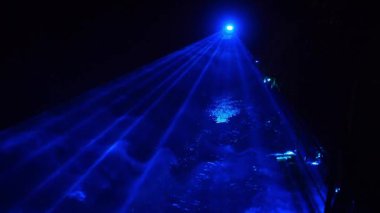 Karanlık gece parkında mavi bir sis ve parlak ışınların yansıması. Lazer gösterisi.