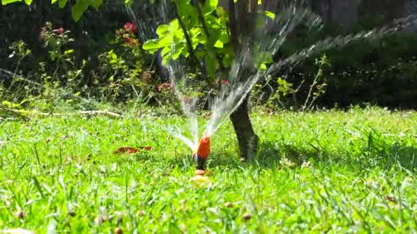 Roterande Sprinkler Vattnar Den Gröna Gräsmattan Solig Dag Roterande Bevattningssystem — Stockvideo