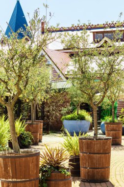 Süslü ağaçlar ve çobanpüslü çalılar, güneşli parktaki desenli bir peri masalı binanın arka planına karşı fıçı gibi ahşap kaplarda yetişir. Bahçe düzenleme. Park dekoru.