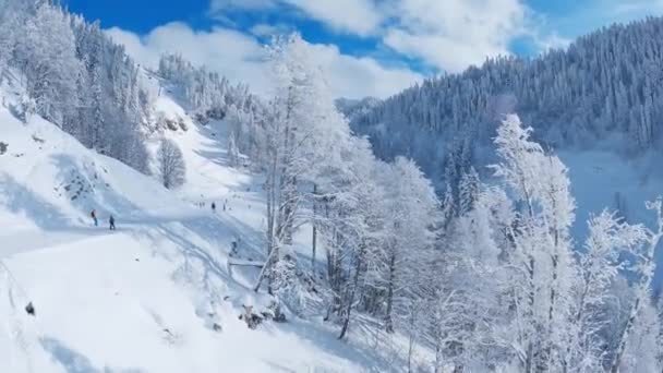 山の高いスキー場でのダウンヒルスキー 晴れた冬の日に雪の白い斜面でスキーをする人々 — ストック動画