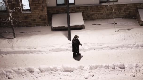 在雪夜街道上行走的女人 — 图库视频影像
