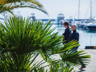 Güney tatil köyüne karşı palmiye ağaçları. Turistler, güney palmiye dallarının arkasındaki kıyı şeridi boyunca yürüyorlar.