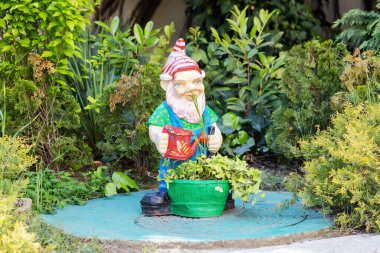 Rusya, Soçi 15.05.2022. Bahçede süslemeli bir cüce ve bir su kovası.