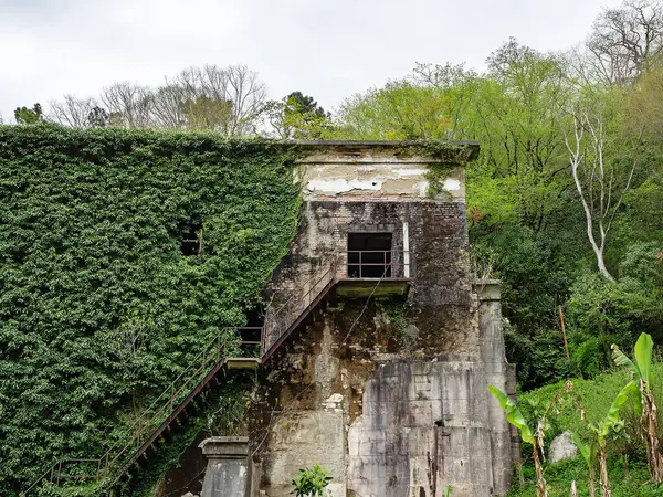 Abandoned building overgrown with ivy in green park. Outdoor steps lead to an old abandoned building