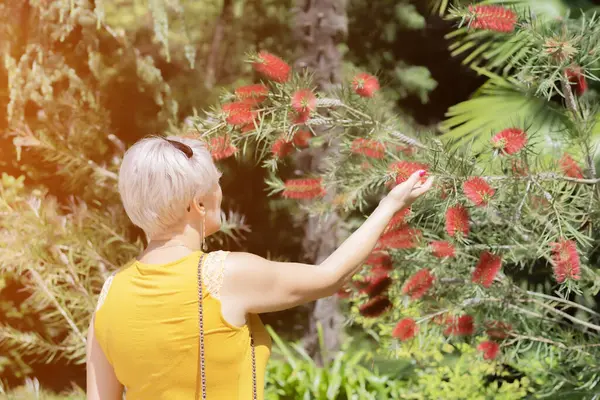 Woman touches beautiful plant with her hand in park