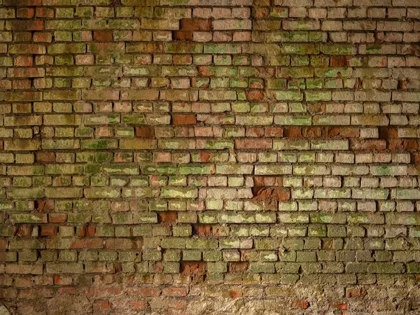 Moldy crumbling wall inside a dark abandoned room. Crumbling wall inside a dark abandoned room. Not a seamless texture.