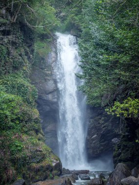 Yeşil yaprak döken ormanda yüksek şelale. Dağdaki şelaleye git. Hareket bulanıklığı