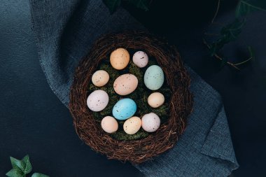 Üst manzara hasır yuvası, yosun ve koyu arkaplanda yeşil yapraklı renkli Paskalya yumurtaları. Mutlu Paskalyalar. Sönük renkler. Düz yatış, seçici odaklanma. Boşluğu kopyala