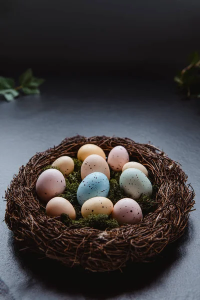 Ein Weidennest mit Moos und bunten Ostereiern und grünen Blättern auf dunklem Hintergrund. Düstere Stimmung. Frohe Osterfeiertage. Vertikale Karte. Selektiver Fokus, Kopierraum — Stockfoto