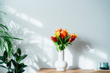 İskandinavya 'nın iç kısımlarında seramik vazoda bulunan renkli lale çiçekleri ahşap bir dolapta duruyor. Yeşil bitkiler ve beyaz duvarlı minimalist tasarım. Biyofili tarzı. İlkbahar.