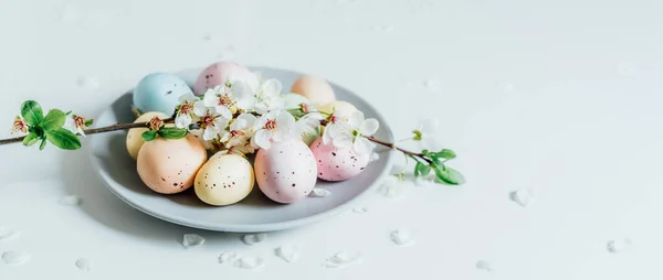 Χρωματιστά πασχαλινά αυγά και ανθισμένο κλαδί δέντρου στο γκρι πιάτο με πέταλα λουλουδιών στο λευκό τραπέζι. Καλό Πάσχα και ανοιξιάτικο πανό. Ελαχιστοποίηση και απλότητα. Επιλεκτική εστίαση. Αντιγραφή χώρου. — Φωτογραφία Αρχείου
