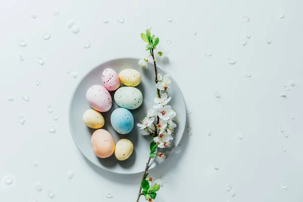 Draufsicht Bunte Ostereier und blühender Ast auf dem grauen Teller mit Blütenblättern auf dem weißen Tisch. Frohe Ostern und Frühling Karte. Minimalismus und Einfachheit. Selektiver Fokus. Kopierraum. — Stockfoto