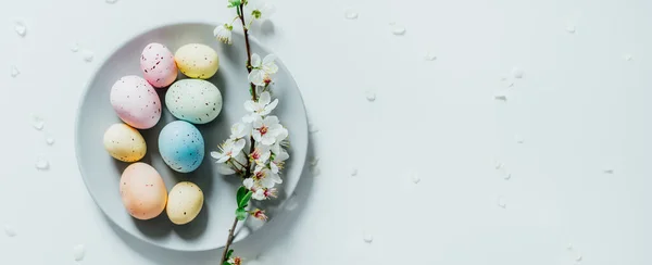 Draufsicht Bunte Ostereier und blühender Ast auf dem grauen Teller mit Blütenblättern auf dem weißen Tisch. Frohe Ostern und Frühlingsgefühle. Minimalismus. Selektiver Fokus. Kopierraum. — Stockfoto