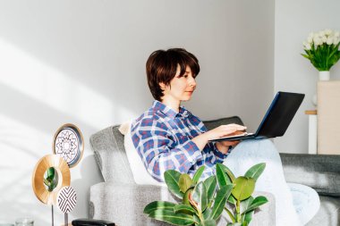 Yoğunlaştırılmış melez kadın evdeki yumuşak koltukta otururken dizüstü bilgisayar kullanıyor. Modern iç mekanda yeşil bitkilerle dolu rahat bir çalışma alanı. Uzaktan kumandalı iş. Çevrimiçi eğitim ya da eğlence. Boşluğu kopyala