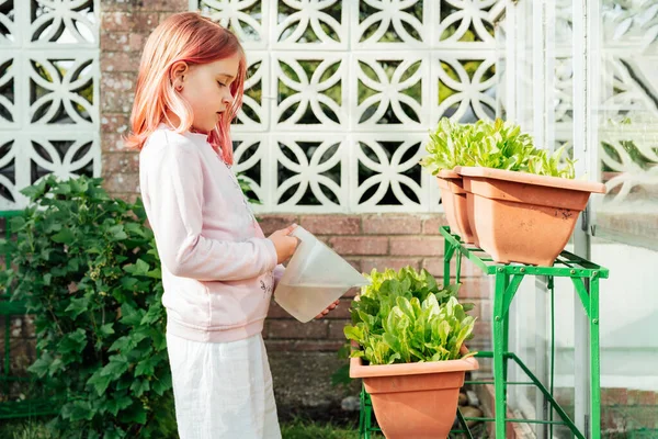Berkonsentrasi sedikit gadis perairan rumahan pot taman dapur hijau di luar rumah di taman. Anak membantu orang tua untuk mengurus tanaman rumahan. Menanam dan menanam pangan di rumah. — Stok Foto
