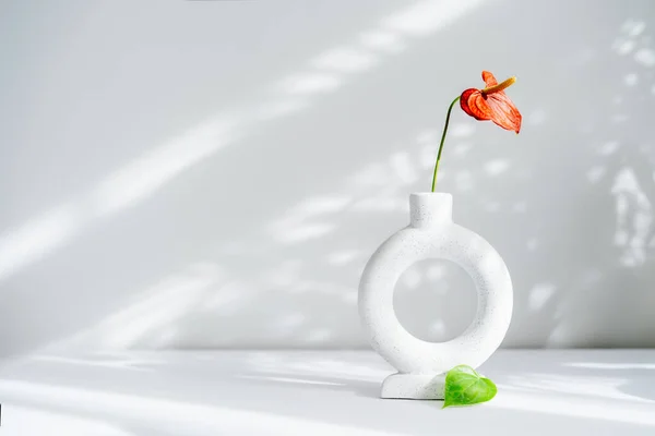 Modern minimalist nordic round ceramic vase with red flower of Anthurium and green leaf on the white background under sunlight and shadows on a white gray wall. Trendy interior design decor.