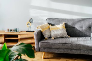 Dekorlu tasarımcı konsolu ve grafik yastıklı gri kanepesi olan şık bir oturma odası. Beyaz duvarlar, saksılarda yeşil bitkiler. Hafif ahşap meşe parke. Modern İskandinav tarzı iç mimari.