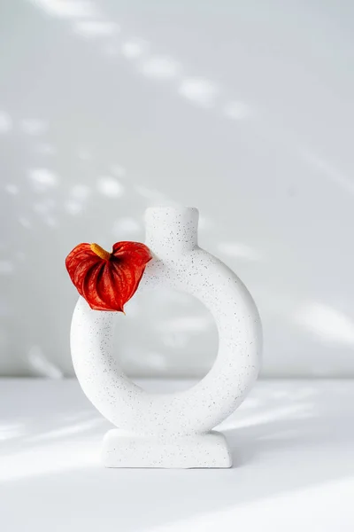 Modern minimalist nordic round ceramic vase with red flower of Anthurium on the white background under sunlight and shadows on a white gray wall. Trendy interior design decor. Copy space. Vertical