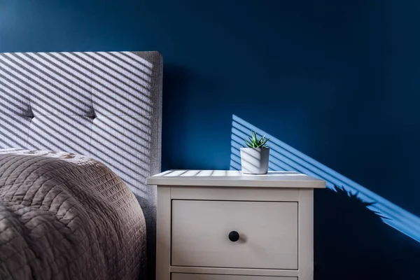 Succulent Concrete Plant Pot Decorative Shadows Blue Wall Bedside Table — Stock Photo, Image