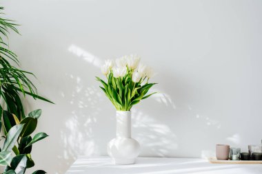 İskandinavya 'nın iç kısımlarında seramik vazoda duran bir buket beyaz lale çiçeği var. Yeşil bitkilerle minimalist tasarım ve gölgeli beyaz duvar. Biyofili tarzı. İlkbahar