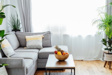 Stylish and modern scandinavian interior of open space living room with bamboo bowl with fruits on the coffee table, gray couch sofa, cushions and many green plants. Open space home interior design