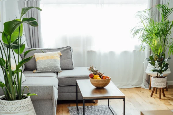 Stylish Modern Scandinavian Interior Open Space Living Room Bamboo Bowl — Stock Photo, Image