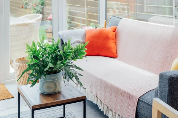 Cozy, light conservatory interior design with gray sofa decorated with bright textile cover and cushions and many green house plants. Hygge home interior design. Biophilic lifestyle. Selective focus