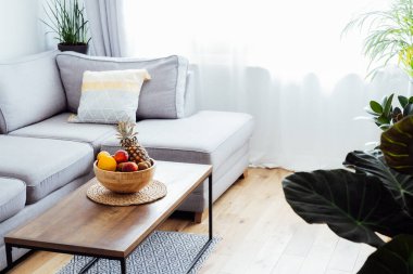 Açık uzay oturma odasının şık ve modern İskandinav iç mimarisi kahve masasında meyveler, gri kanepe ve bir sürü yeşil bitki bulunan bambu kasesi. Biyofili. Açık alan ev iç tasarımı.