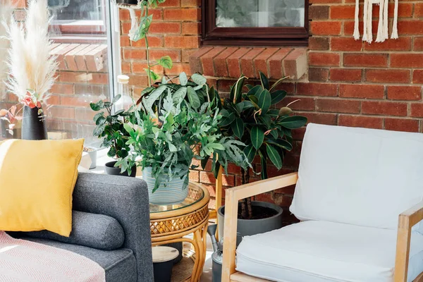 Cozy, light conservatory interior design with gray sofa decorated with bright textile cover and cushions and many green house plants. Hygge home interior design. Biophilic lifestyle. Selective focus
