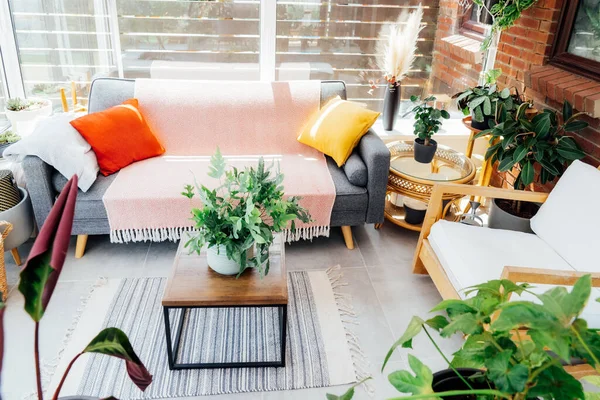 Cozy, light conservatory interior design with gray sofa decorated with bright textile cover and cushions and many green house plants. Hygge home interior design. Biophilic lifestyle. Selective focus