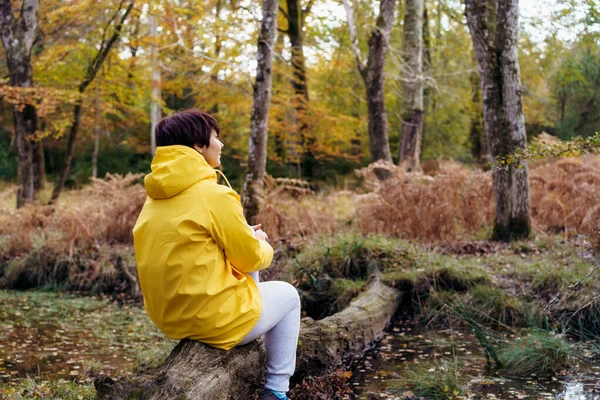 Back View Woman Bright Yellow Raincoat Sitting Fallen Tree Looking — Foto de Stock