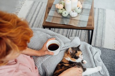 Top view woman with plaid drinking hot tea and stroking relaxed multicolored cat on sofa at home decorated for fall holidays. Cozy, comfortable autumn weekend concept. Rest and relax. Selective focus.
