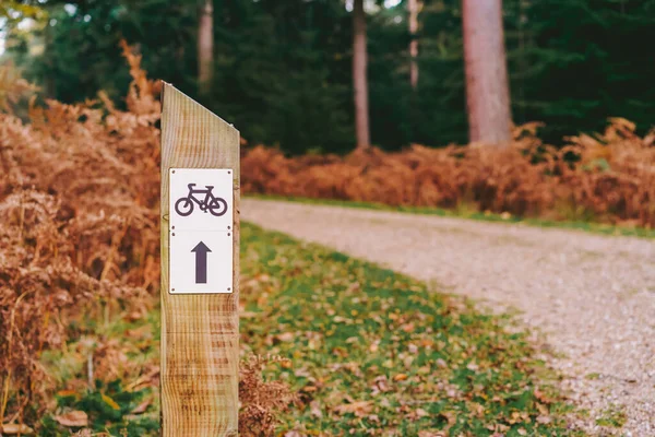 Велосипедные Дорожки Стрелками Направляющими Дорогу Деревянный Знак Осеннем Лесу Пустой — стоковое фото