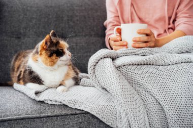 Close up woman with plaid drinking hot tea while sitting with multicolored pet cat on the sofa at home. Cozy and comfortable winter, autumn weekend concept. Rest and relax. Selective focus