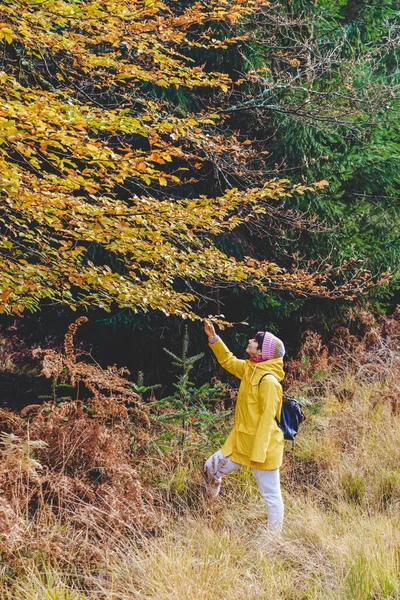 Жінка Яскраво Жовтому Плащі Насолоджується Прогулянками Осінньому Лісі Природі Відчуваючи — стокове фото
