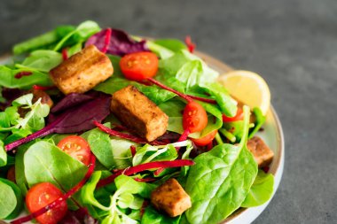 Healthy salad with roasted tempeh, fresh cherry tomatos, beetroot straws, spinash and lettuce leaves on plate. Tempeh is fermented soy bean. Plant based protein. Healthy Cooking and eating. Go vegan.