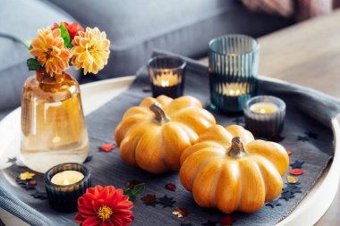 Autumn, fall cozy mood composition for hygge home decor. Small pumpkins, burning candles and fresh dahlia flowers on the tray with gray napkin on the coffee table in the living room. Selective focus