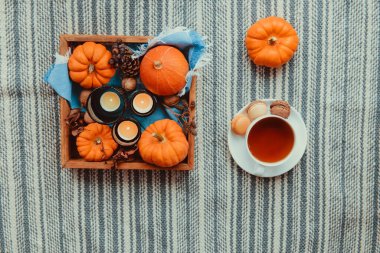 Üst görünüm sonbahar konforu. Balkabakları, mumlar, ahşap tepside düşen yapraklar ve çizgili kumaş arka planda şekerli bir fincan sıcak çay. Autumn, sonbahar higge modu konsepti. Düz yatıyordu. Seçici odak