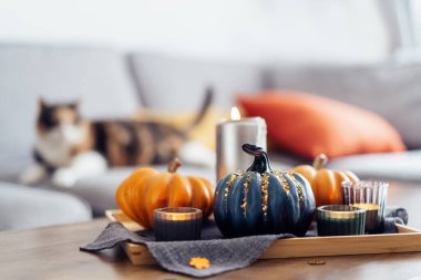 Autumn, fall cozy mood composition for hygge home decor. Pumpkins, burning candles on tray on the coffee table with relaxed cat on the couch on the background in the living room. Selective focus