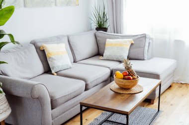 Açık uzay oturma odasının şık ve modern İskandinav iç mimarisi kahve masasında meyveler, gri kanepe ve bir sürü yeşil bitki bulunan bambu kasesi. Biyofili. Açık alan ev iç tasarımı.