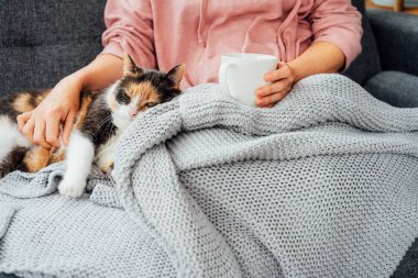 Close-up woman in a plaid drinking hot tea, petting a relaxed cat on the sofa at home. Cozy and comfortable winter or autumn weekends. Pleasant ways to keep warm. Take a break and relax