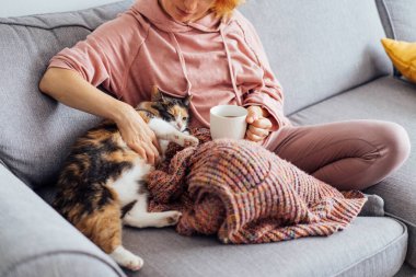 Close-up woman in a plaid drinking hot tea, petting a relaxed cat on the sofa at home. Cozy and comfortable winter or autumn weekends. Pleasant ways to keep warm. Take a break and relax.